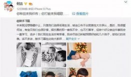 林嘉前妻朋友圈爆料视频,揭秘婚姻背后的惊人真相